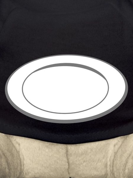 empty plate
