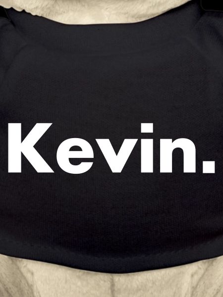 Kevin - name - font