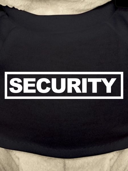 security Americans style