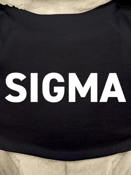 Sigma Light Pack Rank