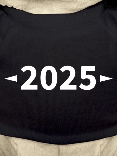2025