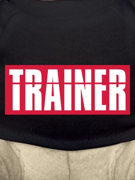 Red coach logo