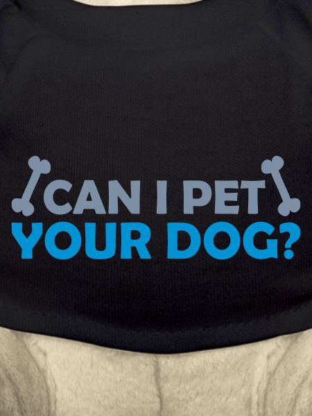 Pet your Dog Spruch
