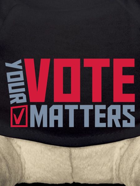 your vote matters quote