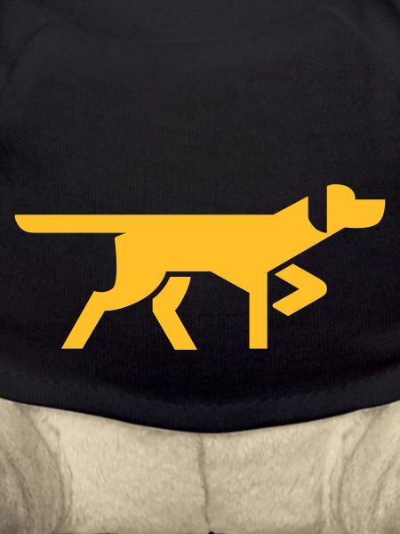 Hund Dog