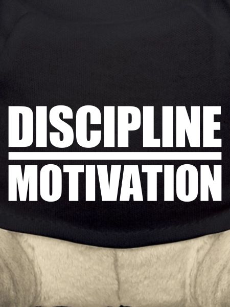 discipline over motivation quote