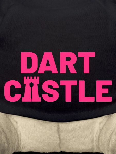 Darts Sport