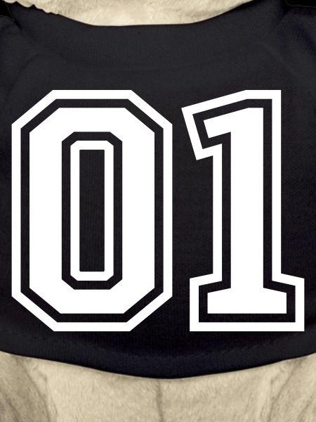 01 One Number