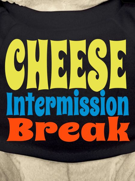 CheeseIntermissionBreakVect