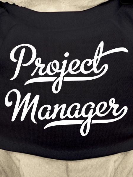 Project Manager
