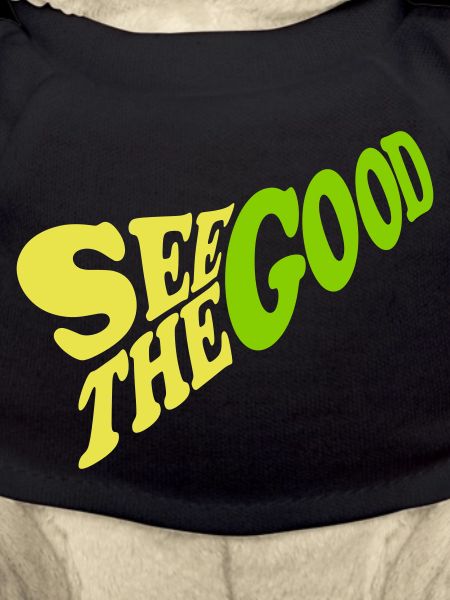 see the good quote