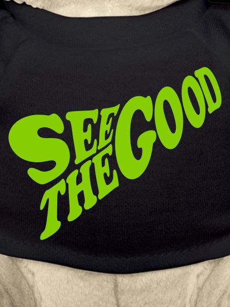 see the good quote