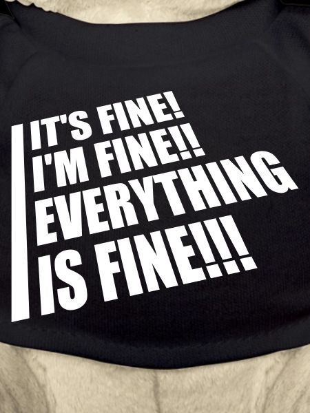 everything is fine quote