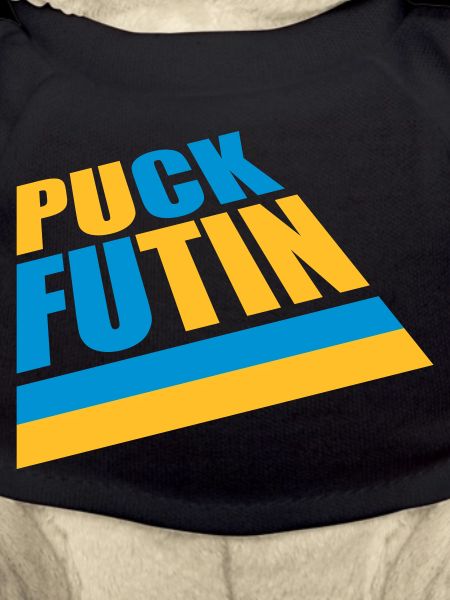 puck futin Logo Design