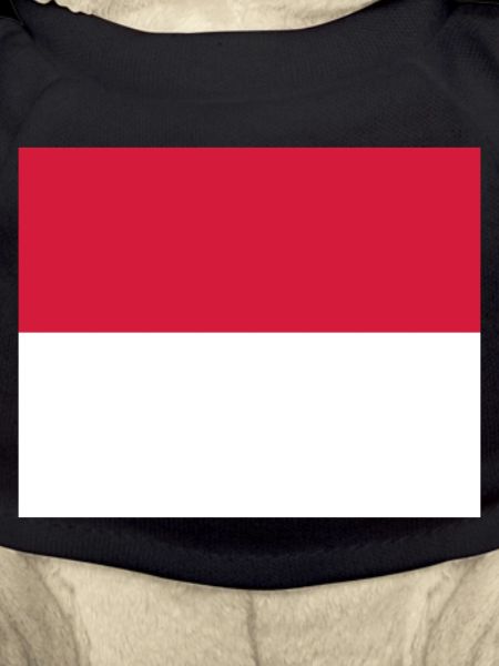 Monaco flag / Drapeau Monaco