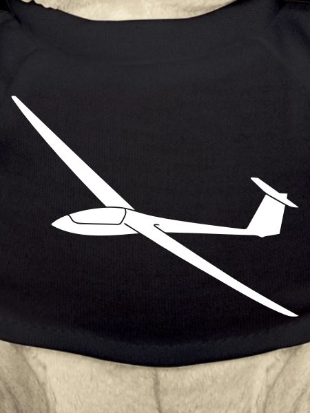 Glider glide glider pilot