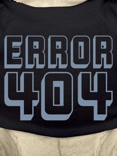 Computer Verbindung Error 404
