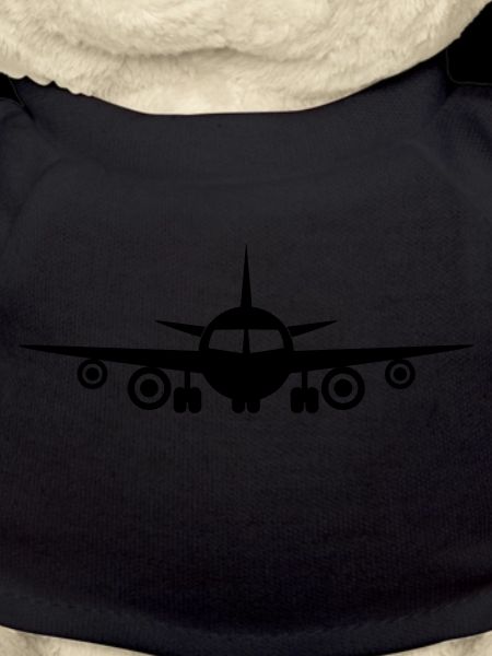 Fly a plane