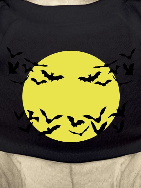 Bats, Bat
