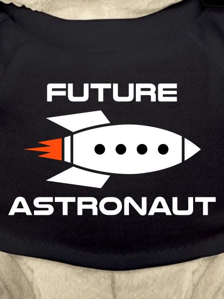 Future astronaut (Raumschiff)