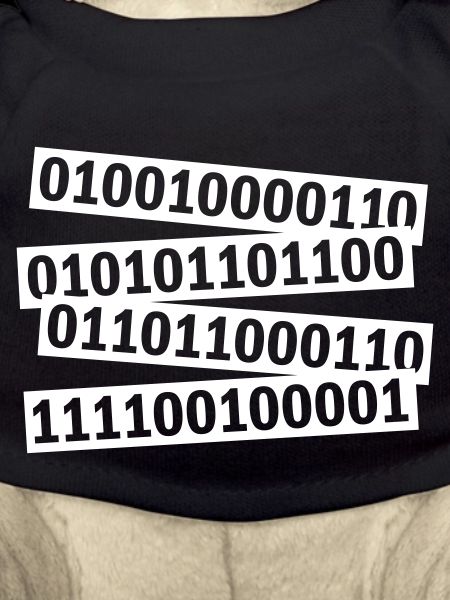 Binär Code Programm Sprache