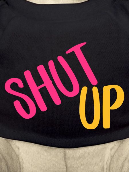 shut up