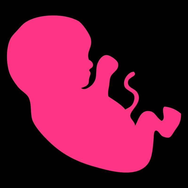 foetus bebe