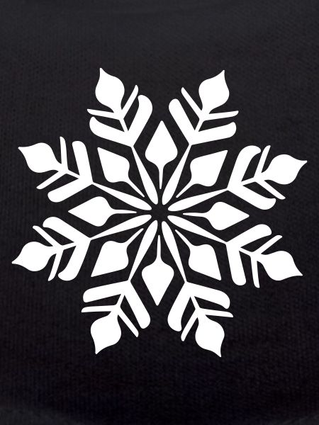 Snowflake Icon Winter