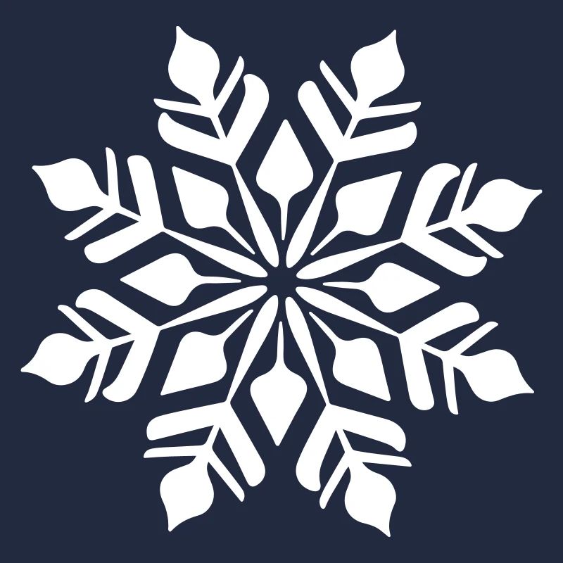 Snowflake Icon Winter