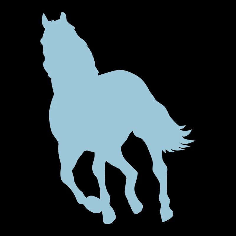 Pferd Pony Wildpferd