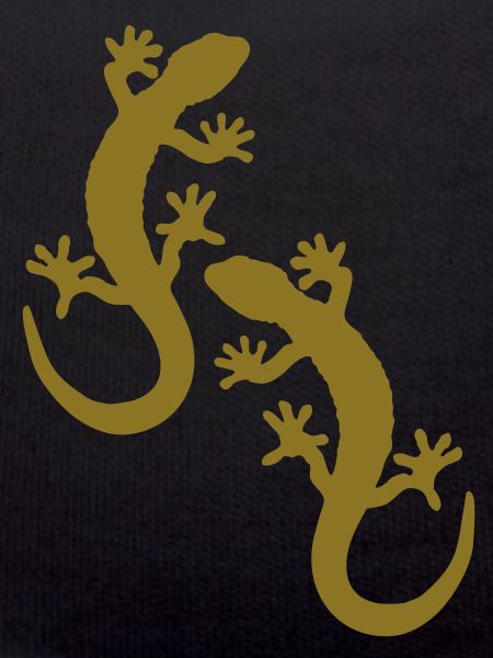 two geckos