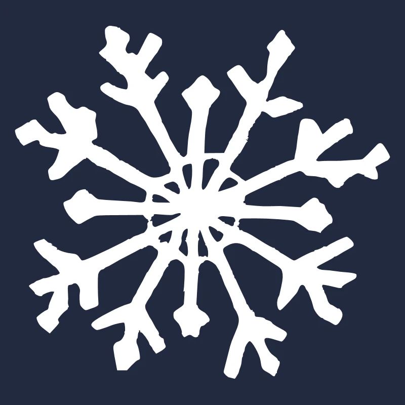 Snowflake Snow Winter Christmas Vector 03
