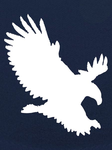 Eagle approaching