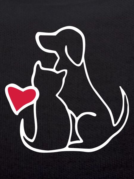 chien et chat s’aiment