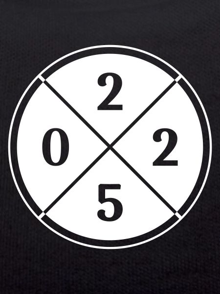 2025 year