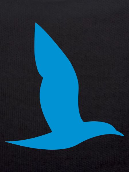 blue bird
