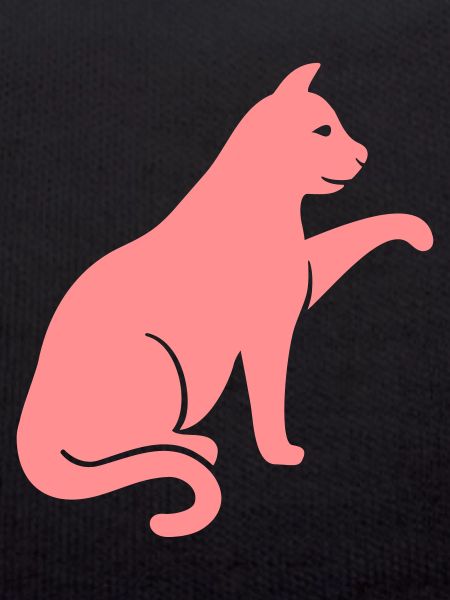 Katze