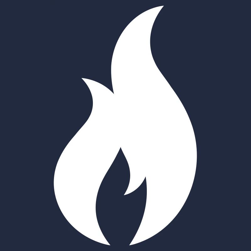 Flames icon vector for own designs