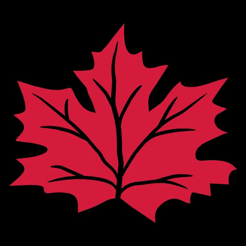 red maple leaf autumn winter red colorful colors bla