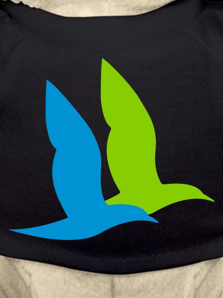 double oiseau maritime
