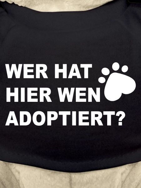 Hund