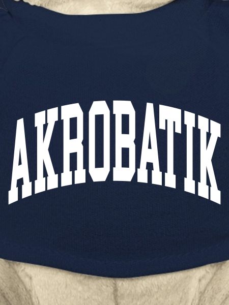 Akrobatik