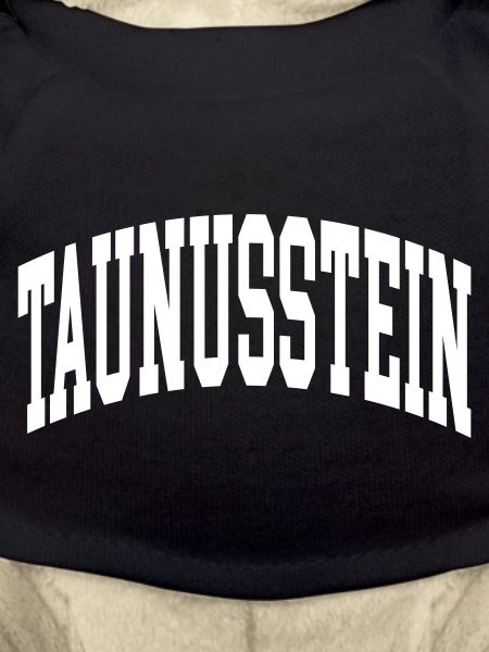 Taunusstein