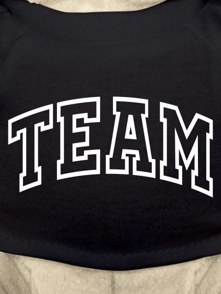 Team