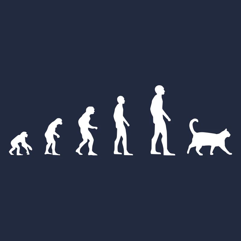 Cat - Evolution
