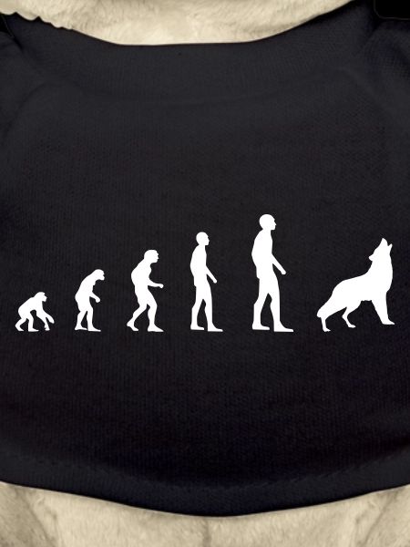 Loup - Evolution