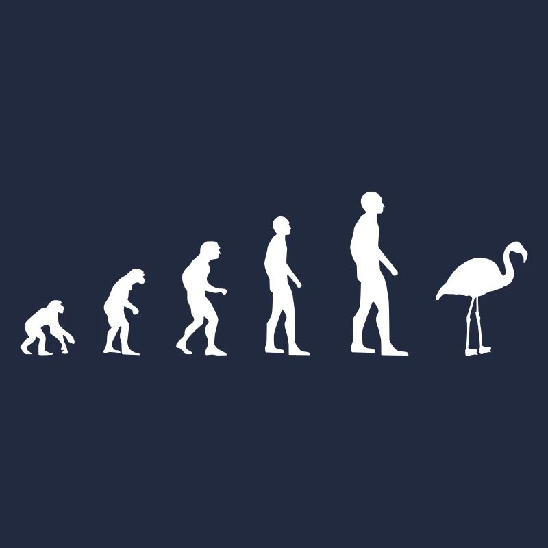 Flamingo - Evolution