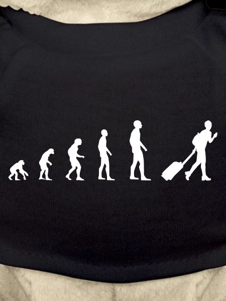Reisender – Evolution