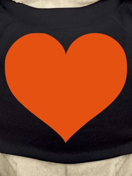 heart