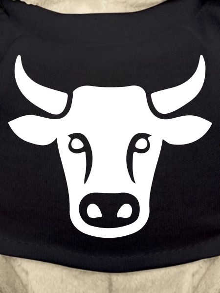 Cow Cattle Head